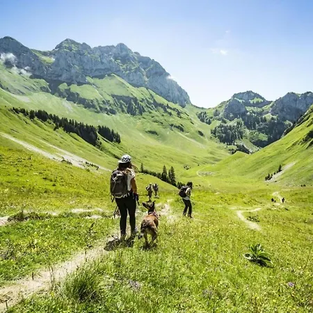 Apartament Corina Cn43 Quiet & Mountain 4 Pers Châtel