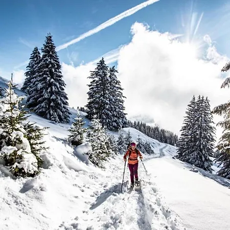 Apartment Corina Cn43 Quiet & Mountain 4 Pers Châtel