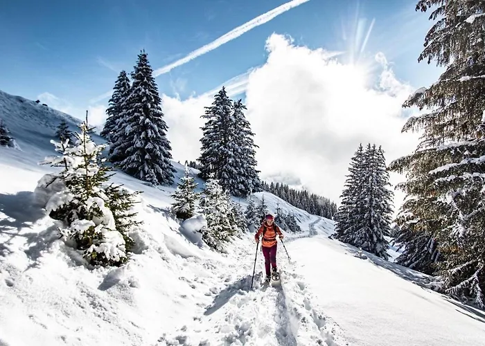 Apartament Corina Cn43 Quiet & Mountain 4 Pers Châtel