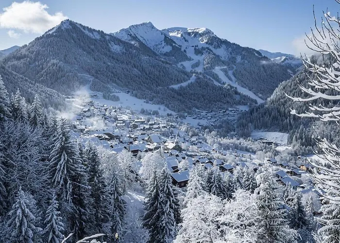 Apartament Corina Cn43 Quiet & Mountain 4 Pers Châtel